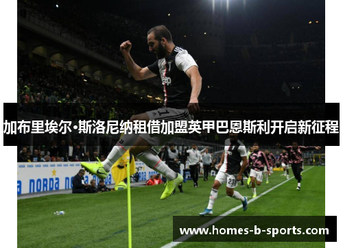 加布里埃尔·斯洛尼纳租借加盟英甲巴恩斯利开启新征程